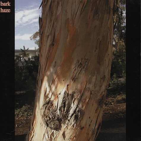 Bark Haze / Our Love Will Destroy The World - Split