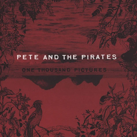 Pete And The Pirates - One Thousand Pictures