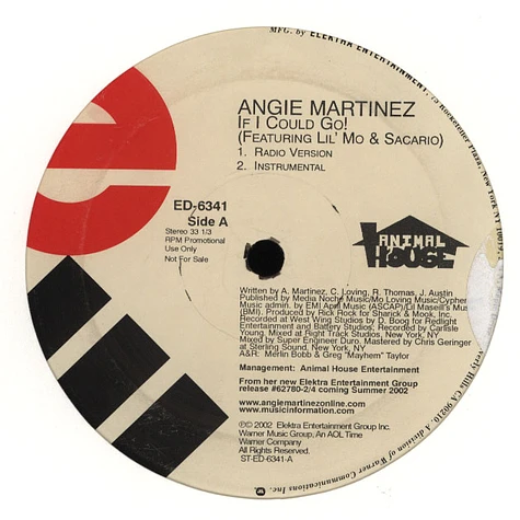 Angie Martinez - If i could go