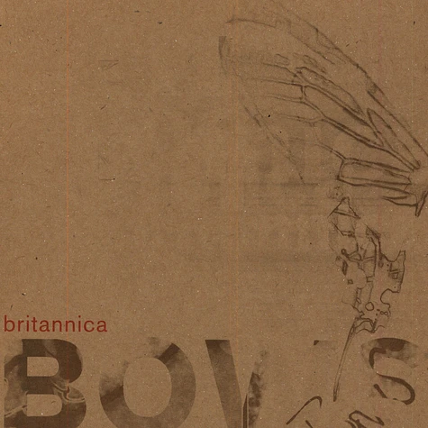Bows - Britannica