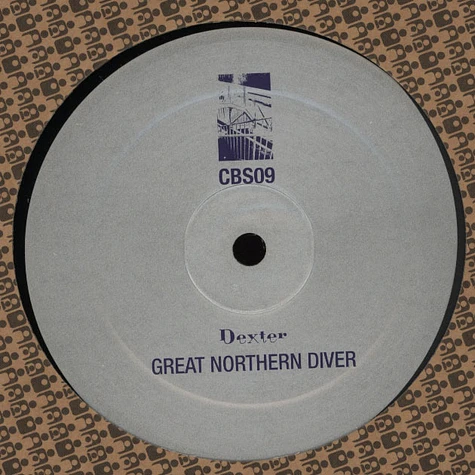 Dexter - Great Northern Diver