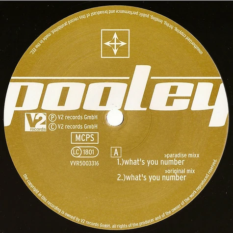 Ian Pooley - What's Your Number