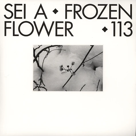 Sei A - Frozen Flower