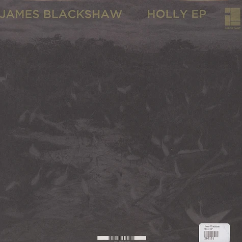 James Blackshaw - Holly EP