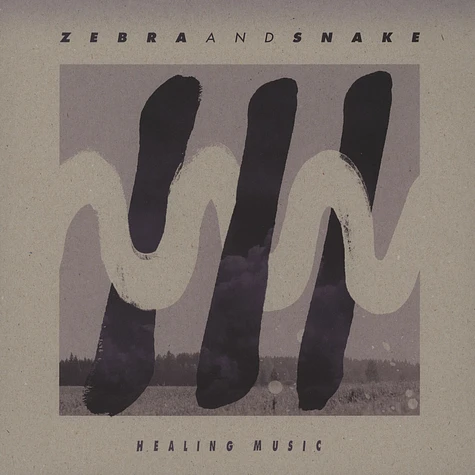 Zebra & Snake - Healing Music