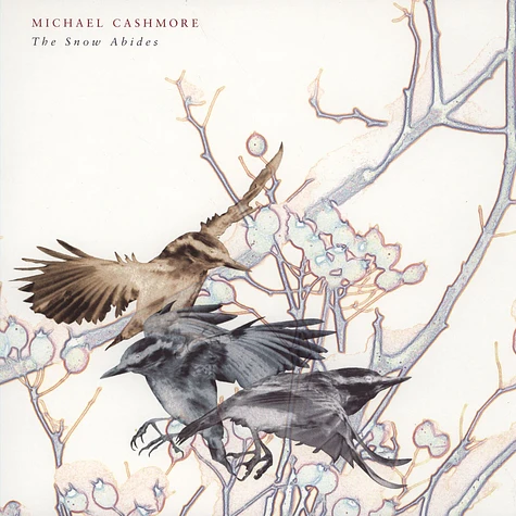Michael Cashmore - Snow Abides