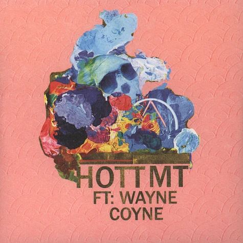 Hott MT - Never Hate Again feat. Wayne Coyne