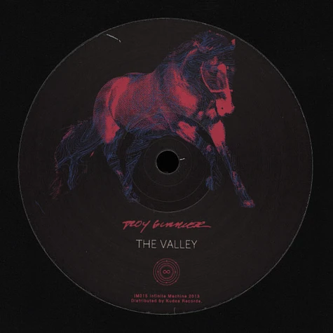 Troy Gunner - Masks/the Valley