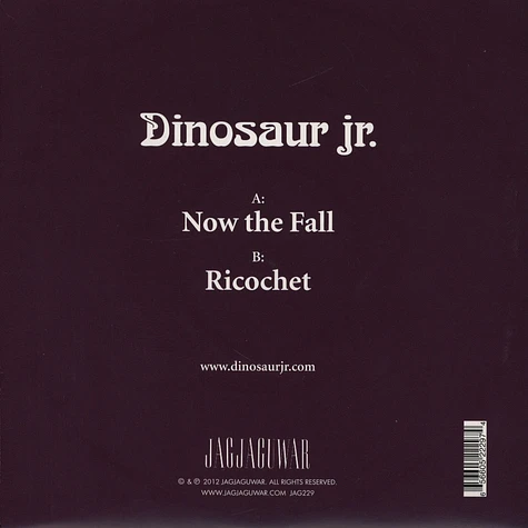 Dinosaur Jr - Now The Fall / Ricochet