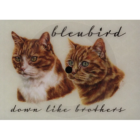 Bleubird - Down Like Brothers