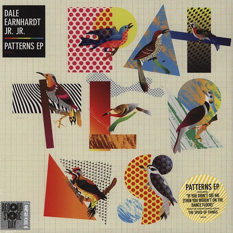 Dale Earnhardt Jr Jr - Patterns
