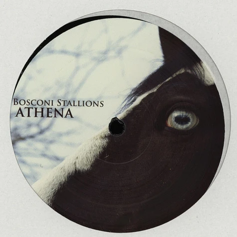 V.A. - Bosconi Stallions Athena