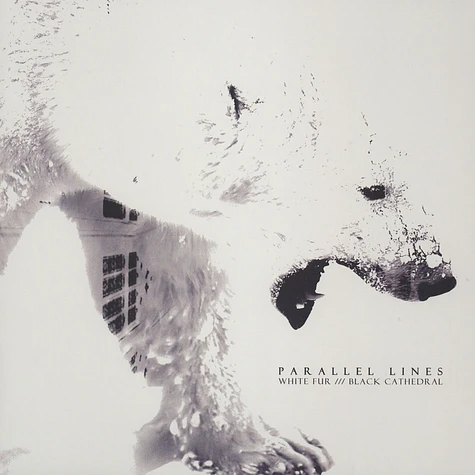 Parallel Lines - White Fur /// Black Cathedral