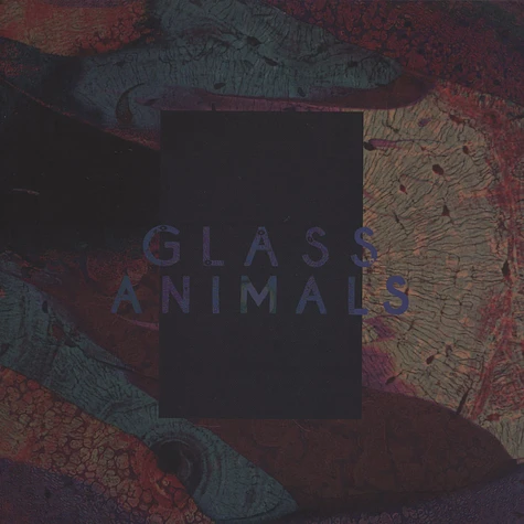 Glass Animals - Black Mambo / Exxus