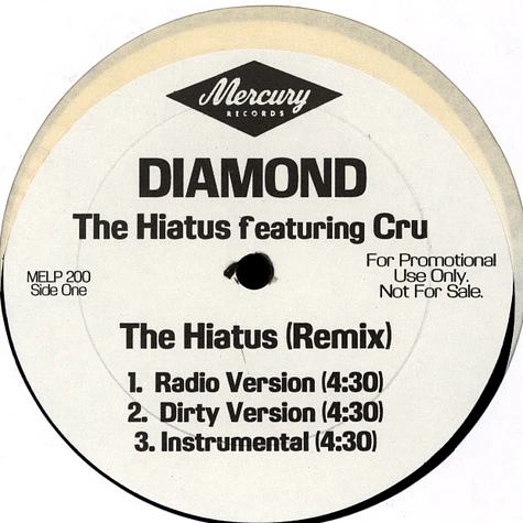 Diamond D - The Hiatus (Remix)