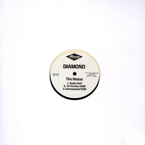 Diamond D - The Hiatus (Remix)