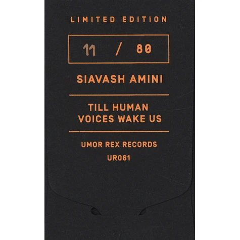 Siavash Amini - Till Human Voices Wake Us