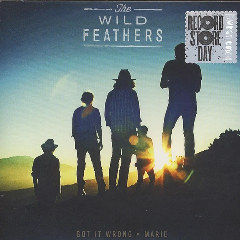 The Wild Feathers - Got It Wrong Clearmountain Mix / Marie