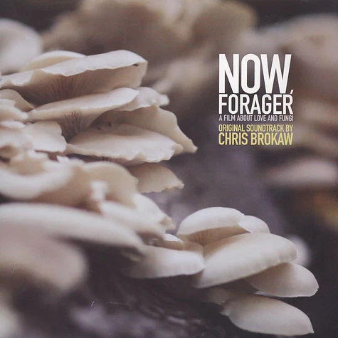 Chris Brokaw - OST Now, Forager