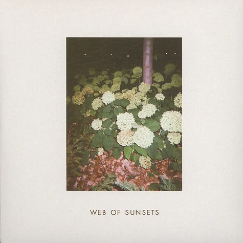 Web Of Sunsets - Fool's Melodies