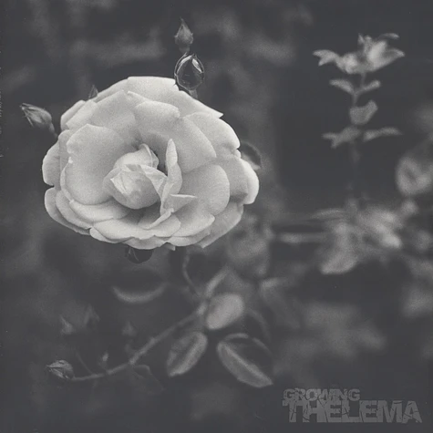 Thelema - Growing