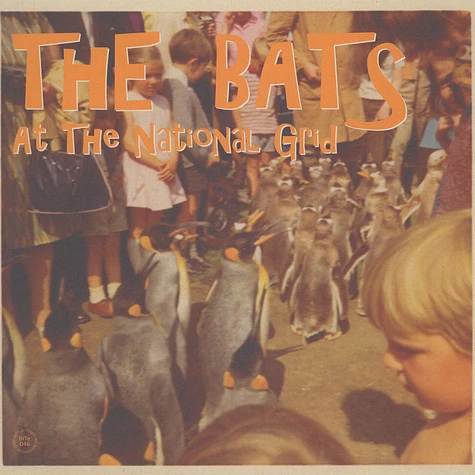 The Bats - At The National Grid