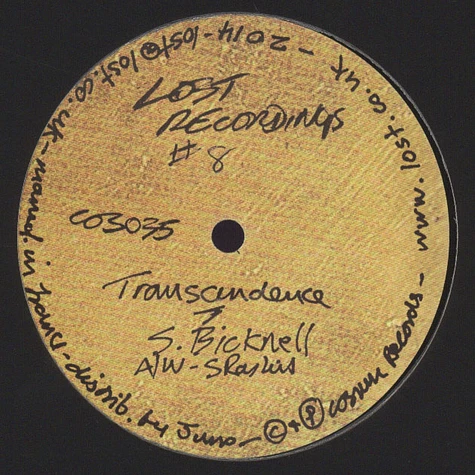 Steve Bicknell - Lost Recordings 8: Transcendence