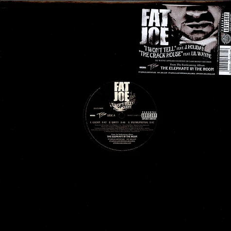 Fat Joe - I Won't Tell / The Crack House
