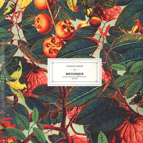 Anthony Joseph - Botanique Remix EP