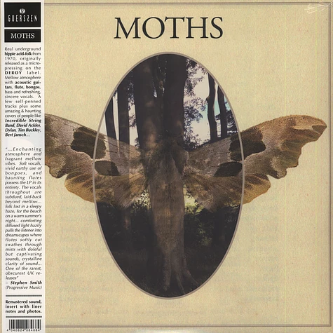 Moths - Moths