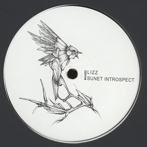 Lizz - Sunet Introspect EP