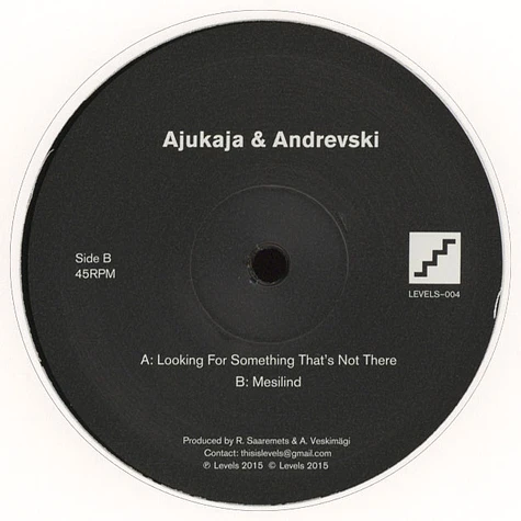 Ajukaja & Andrevski - Looking For Something That’s Not There