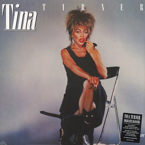 Tina Turner - Private Dancer