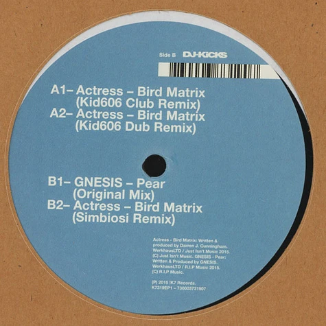 Actress - Bird Matrix Remixes