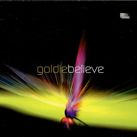 Goldie - Believe