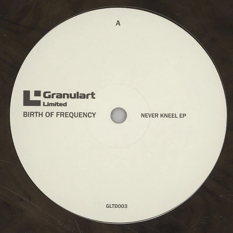 Birth Of Frequency - Never Kneel EP