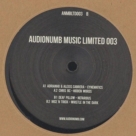 V.A. - Audionumb Music Limited 003
