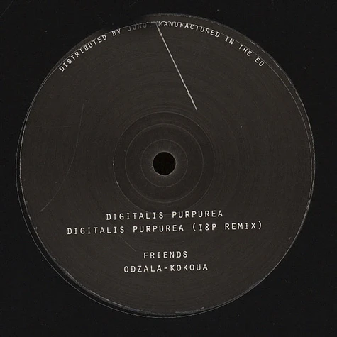 Gohan - Digitalis Purpurea EP