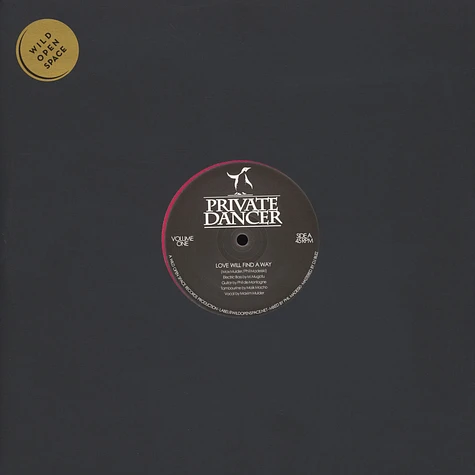 Max Mulder & Phil Madeiski - Private Dancer Volume 1