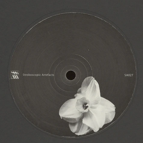 Kangding Ray & Rrose - Ardent / Swallows