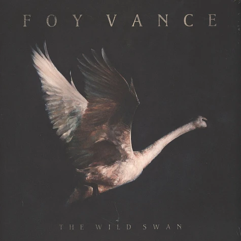 Foy Vance - The Wild Swan