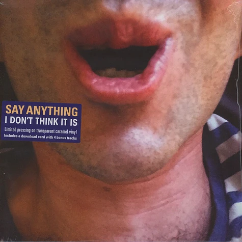 Say Anything - I Don't Think It Is