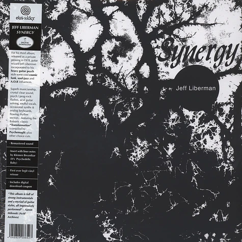 Jeffery Liberman - Synergy