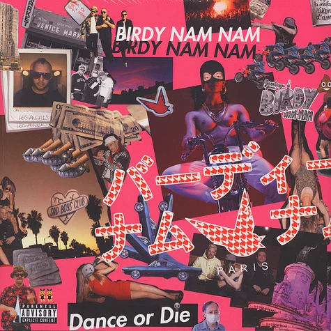 Birdy Nam Nam - Dance Or Die