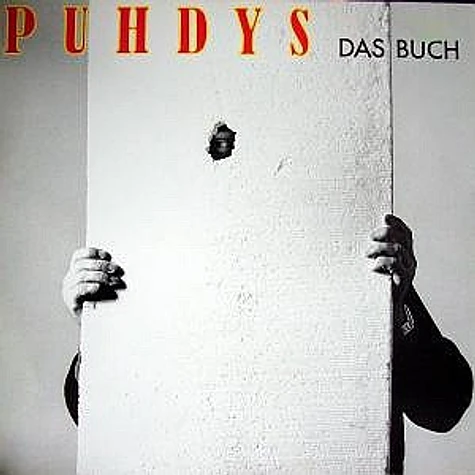 Puhdys - Das Buch