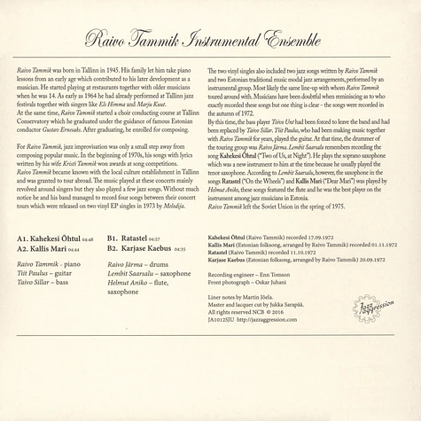 Raivo Tammik Instrumental Ensemble - Raivo Tammik Instrumental Ensemble