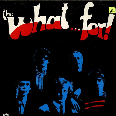 The What...For! - The What...For!