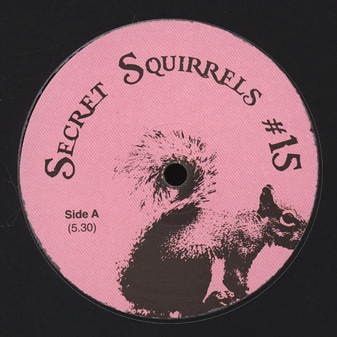 Secret Squirrel - #15