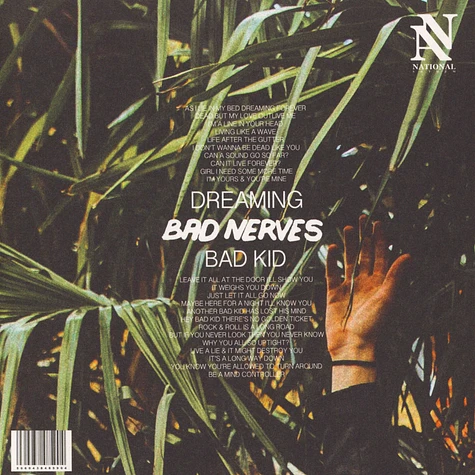 Bad Nerves - Dreaming