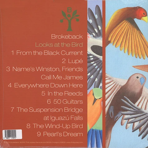 Brokeback - Looks At The Bird